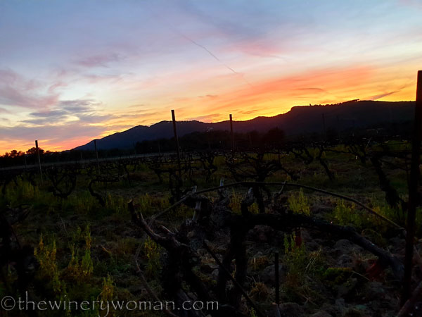 Sunset_Vineyard8_3.9.19_TWW