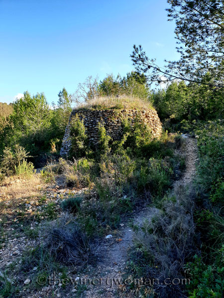 Walk_in_the_woods18_3.11.19_TWW