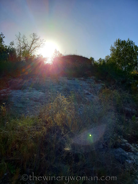 Walk_in_the_woods21_3.11.19_TWW