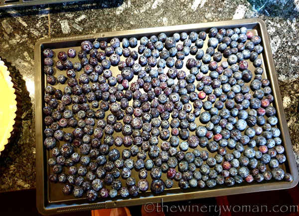 Blueberry_Tart7_4.19.19_TWW