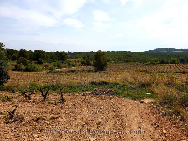 Spring_Vines12_4.14.19_TWW