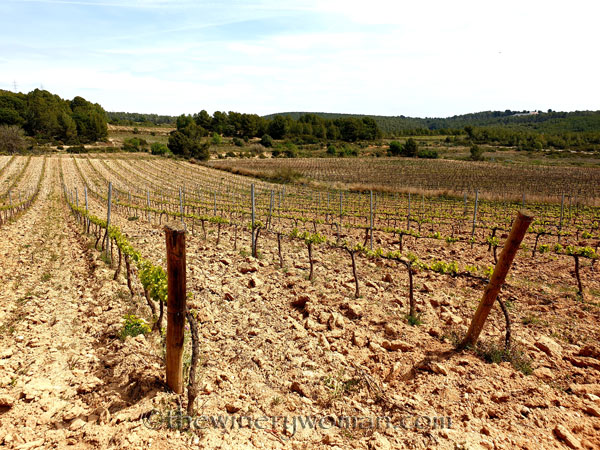 Spring_Vines17_4.14.19_TWW