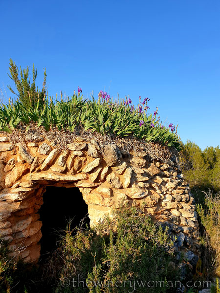 Stone_hut_Irises2_4.1.19_TWW