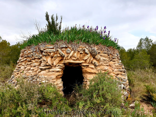 Stone_hut_Irises6_3.31.19_TWW