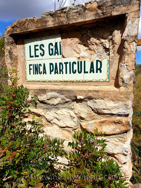 Vineyard_Walk13_4.7.19_TWW