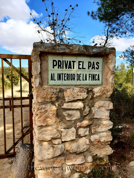 Vineyard_Walk14_4.7.19_TWW