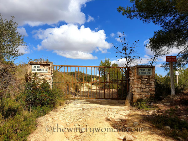 Vineyard_Walk15_4.7.19_TWW