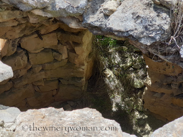 Vineyard_Walk17_4.7.19_TWW