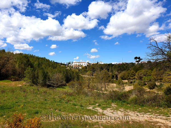 Vineyard_Walk45_4.7.19_TWW