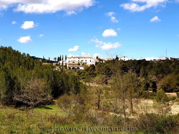 Vineyard_Walk46_4.7.19_TWW