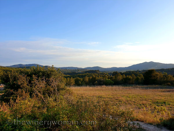 Walk_in_the_vineyard9_4.1.19_TWW