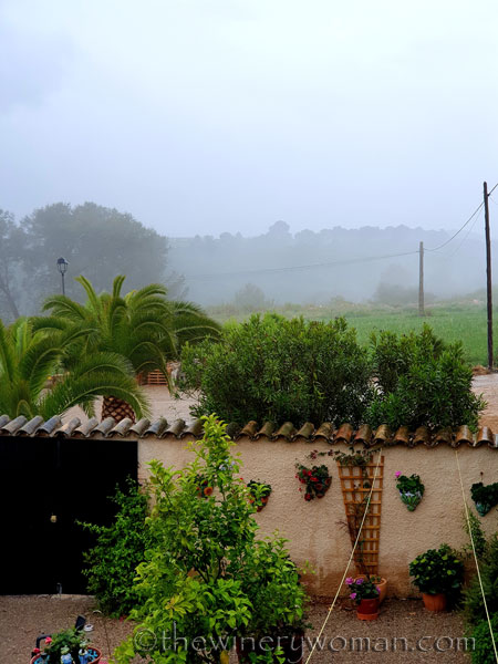 Friday_Rain_Day3_5.17.19_TWW