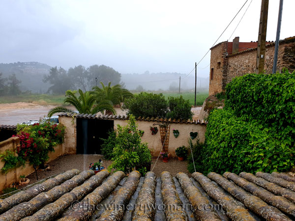 Friday_Rain_Day_5.17.19_TWW