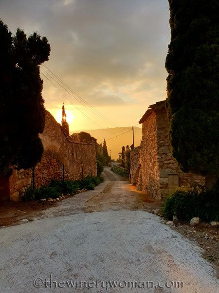 Sunrise_Vineyard4_5.22.19_TWW