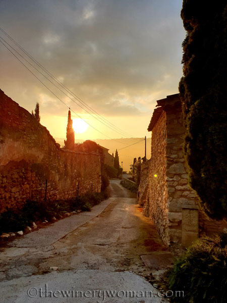Sunrise_Vineyard5_5.22.19_TWW