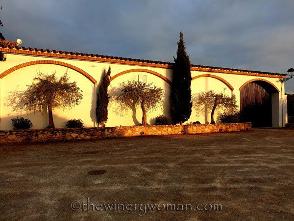 Sunrise_Vineyard6_5.22.19_TWW