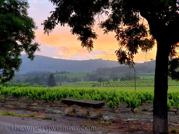 Sunset_Vineyard18_6.11.19_TWW