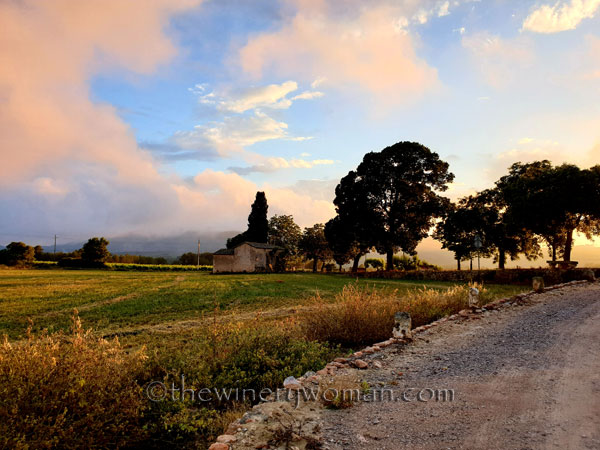 Sunset_Vineyard3_6.11.19_TWW
