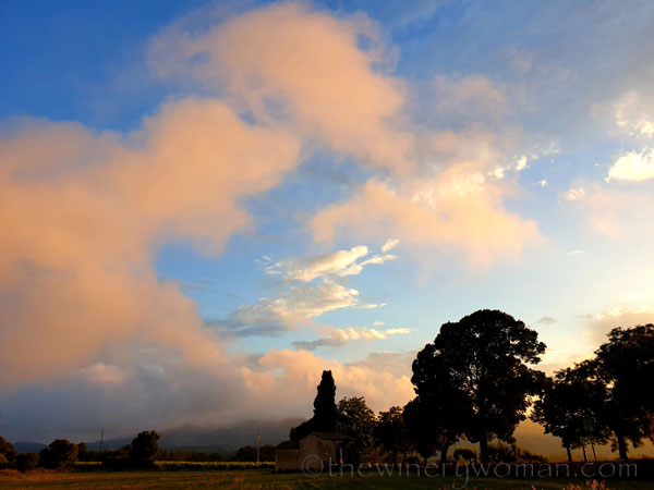 Sunset_Vineyard5_6.11.19_TWW