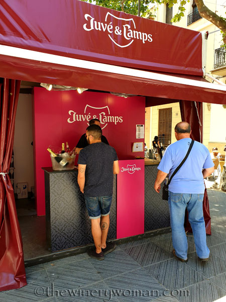 Temps_de_Vi_2019_13_6.8.19_TWW