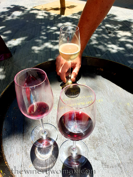 Temps_de_Vi_2019_27_6.8.19_TWW