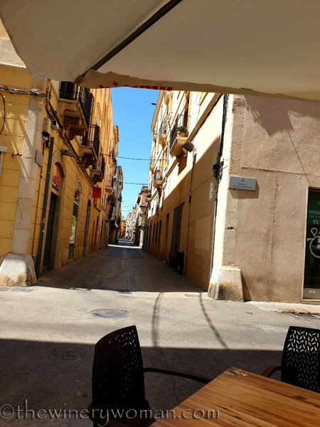 Temps_de_Vi_2019_29_6.8.19_TWW