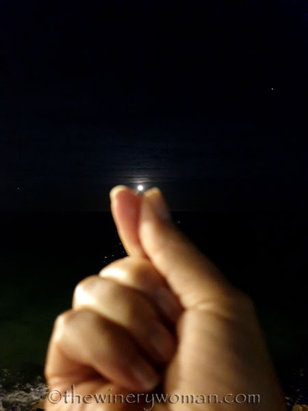 Tuesday_Full_Moon6_6.18.19_TWW