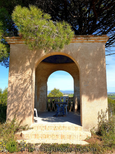 Vineyard_walk11_5.29.19_TWW