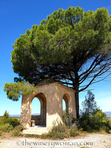 Vineyard_walk12_5.29.19_TWW