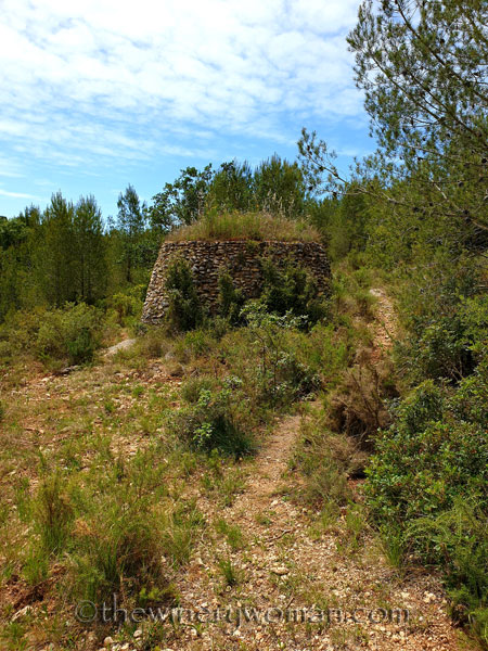 Vineyard_walk5_5.29.19_TWW