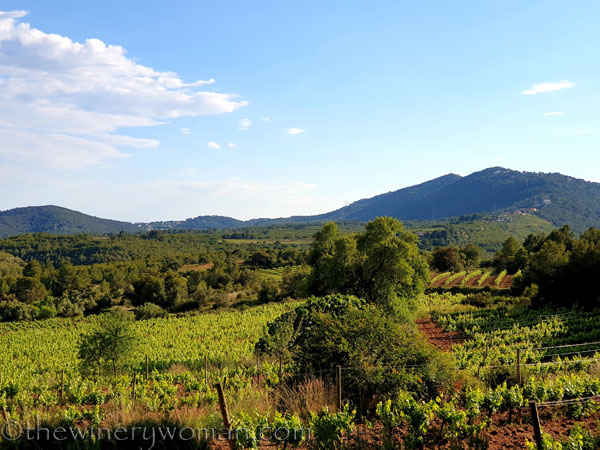 Vineyard_walk6_5.25.19_TWW