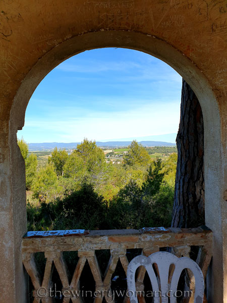 Vineyard_walk8_5.29.19_TWW