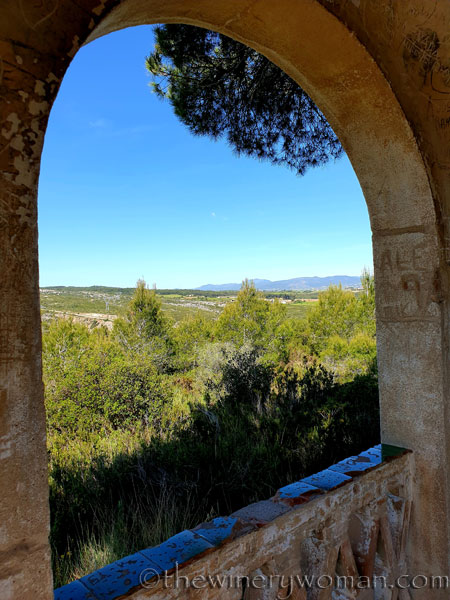 Vineyard_walk9_5.29.19_TWW