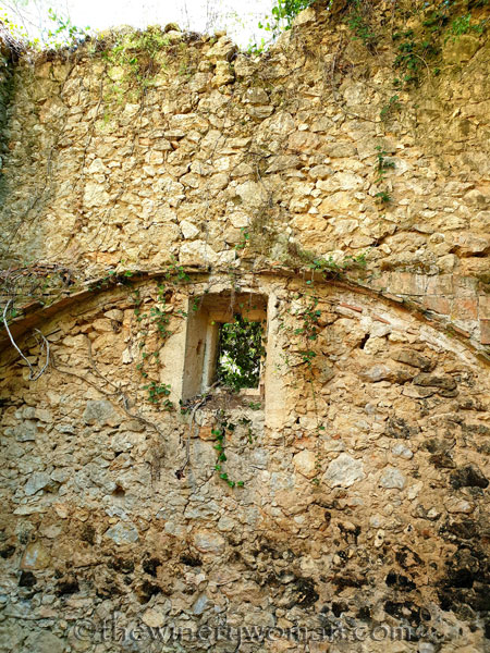 Walk_in_the_vineyard11_6.15.19_TWW