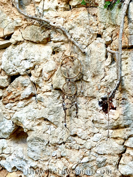 Walk_in_the_vineyard13_6.15.19_TWW