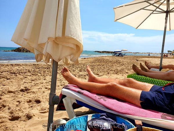 Dani_and_Wayne_visit15_7.20.19_TWW