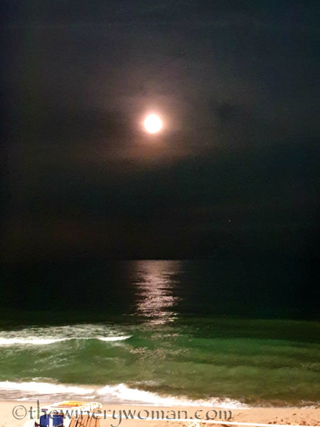 Dani_and_Wayne_visit21_7.20.19_TWW