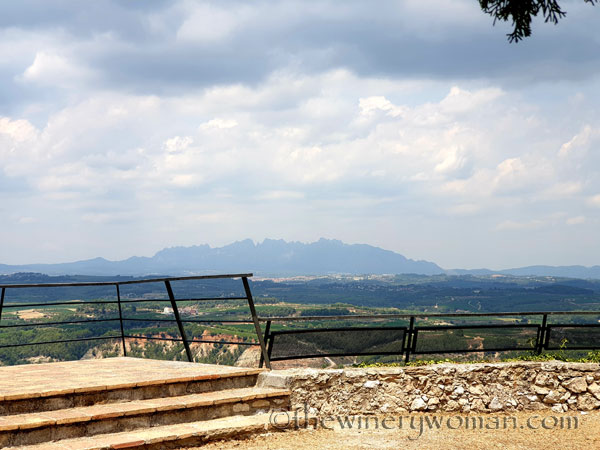 Dani_and_Wayne_visit23_7.20.19_TWW