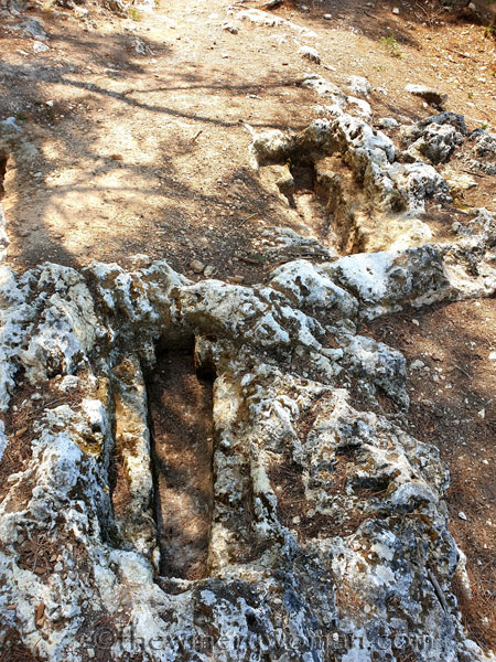 Dani_and_Wayne_visit29_7.20.19_TWW