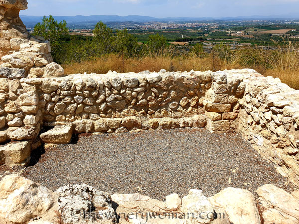 Dani_and_Wayne_visit31_7.20.19_TWW