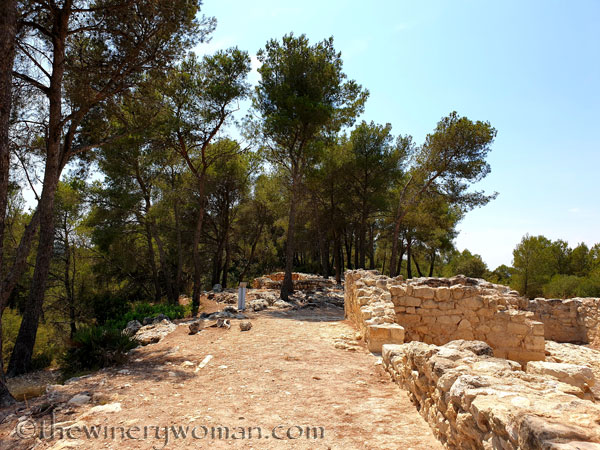 Dani_and_Wayne_visit32_7.20.19_TWW