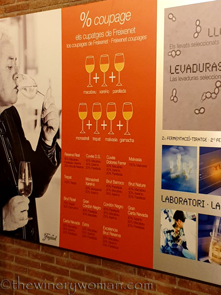 Freixenet_Tour14_7.24.19_TWW