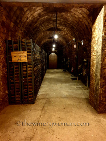 Freixenet_Tour20_7.24.19_TWW