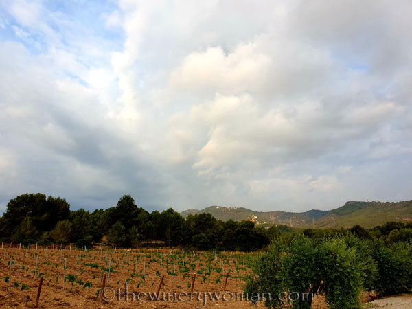 Rain_Clouds2_7.27.19_TWW