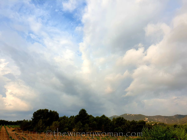 Rain_Clouds3_7.27.19_TWW