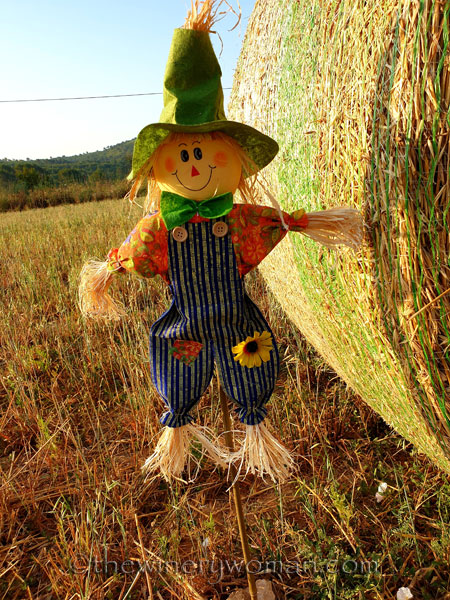 Scarecrow_and_Hay9_7.2.19_TWW