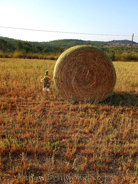 Scarecrow_and_Hay_7.2.19_TWW