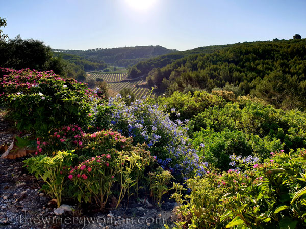 Flowers3_7.29.19_TWW