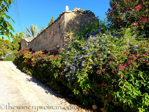 Flowers5_7.29.19_TWW