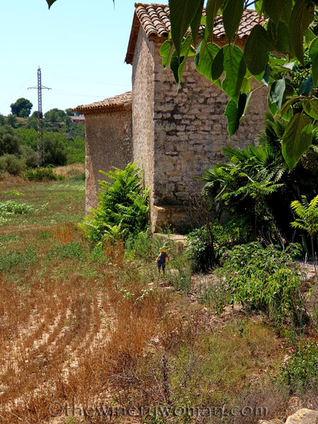 Scarecrow_8.21.19_TWW